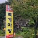 비장어 장어 이미지