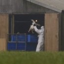 인섹트 파워 이미지