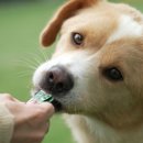 필성농장 이미지