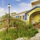 샌디샐리 이미지