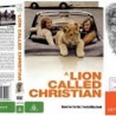 이야기,꽃 이미지