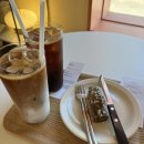 성산적벽돌 | 제주도 가을 여행 1일차 | 백리향 무우수커피로스터스 비자림 치타델레 괸당집