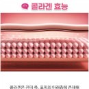 인셀덤 뷰티라이프