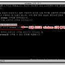 블루스크린 이미지