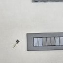 수원-0764 이미지