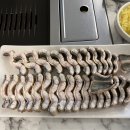 베풀 장어 이미지