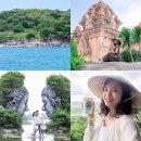 로빈약국 | 베트남 나트랑 달랏 여행 가볼만한곳 코스 가족 경비 투어 추천