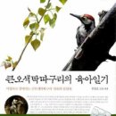 오색출판사