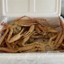 헤아림펜션 이미지