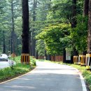 광릉수목원 이미지