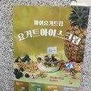 마이요거트립광주 - 서구 월드컵4강로 209 | 마이요거트립광주
