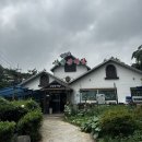 기안말산삼삼계탕 이미지