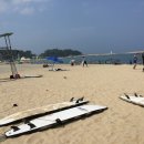 양양