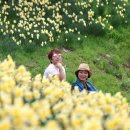 천북목장 이미지