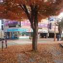 홍주한복 이미지