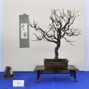 중화고등학교 이미지