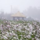 새터주유소 이미지