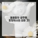 달인스토리