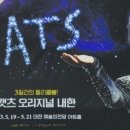 켓츠