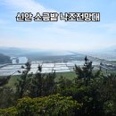 소금밭 교차로 2 | 서해 최대 염전을 소금밭 낙조전망대에서 보면 어떨까?
