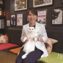 세계로동물병원 네이버블로그