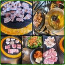 신마포 갈매기 이미지