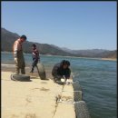 부평선착장 이미지