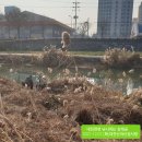 대전천 걷기(목척교-한밭수목원)(2021.12.07.화) 이미지