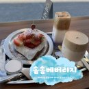 둔산동카페 시그니처 메뉴가 맛있는 솜솜베버리지 내돈내산 후기