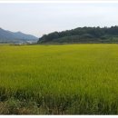 해리전통시장 이미지