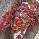 봉담e편한세상101호공인중개사사무소 이미지