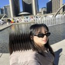 토론토 적응중