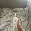 🌿 강아지 냄새 제거부터 새 집 냄새 제거까지 가능한 피톤치오 편백 오일 스프레이 사용후기