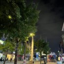 미쳐버린 파닭 이미지