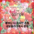 끌리네일 - 원주시 | 끌리네일