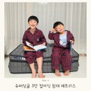 열린슈퍼우리유통 | 1인용 3단접이식 침대 토퍼추천 퀵슬립 V4 폴더블 롤팩 매트리스 슈퍼싱글 후기