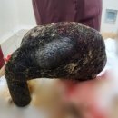 인계삼성(아) 이미지