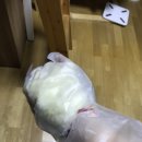 붓다보이차