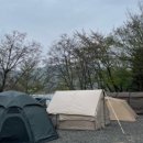 숲속에 안뜰 이미지