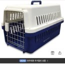 하늘켄넬 이미지