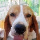 메이동동 이미지