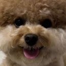 교동 144-2 이미지