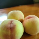 억만농장 이미지