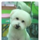 동이살롱 이미지