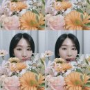파티또예 이미지