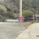 필리가 캠핑 이미지