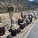 워시돔 발전소 | 가족여행 - 부모님이랑 삼척 쏠비치 리조트 1탄