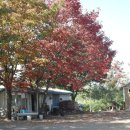 감곡낚시터 이미지