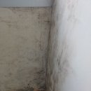 페인트에브리띵 | 시흥입주청소 에브리띵클린으로 군 관사 벽면 곰팡이...주방 기름때까지 완벽하게 마무리한 이사 청소 후기