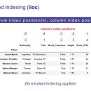 [컴퓨터과학과/참고] Python Data Science - 인덱싱 (위치/레이블 기반) 이미지